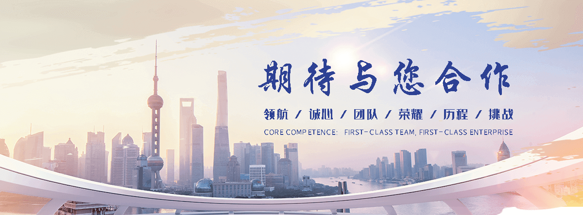 泊头网站S.E.O排名